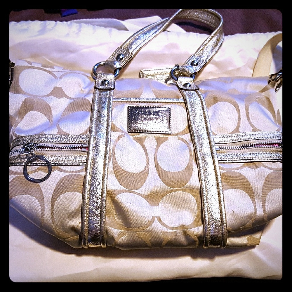 Coach Ashley Satchel